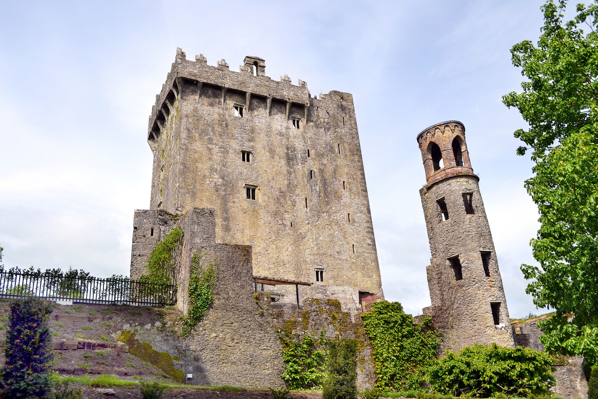 blarney (3).webp
